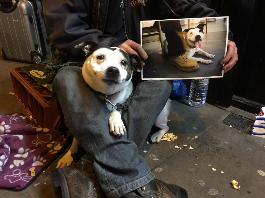 Street Vet 14092017, 20 21 40 Street Vet