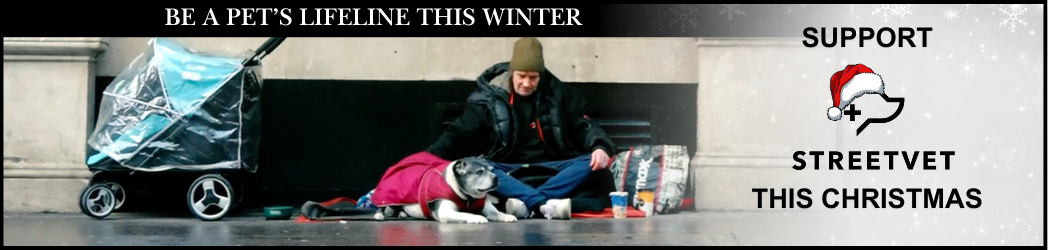 Main Header Image Xmas Site V2 (2)